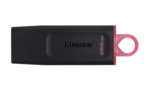 Kingston Usb Stick Mit 256 Gb