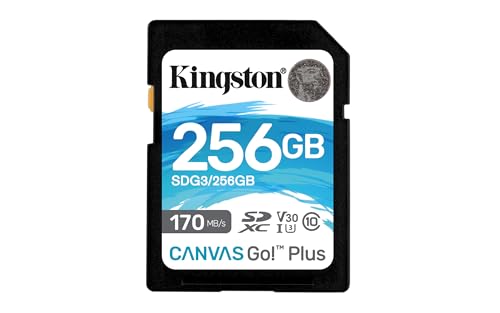 Kingston 256 Gb Sd Karte