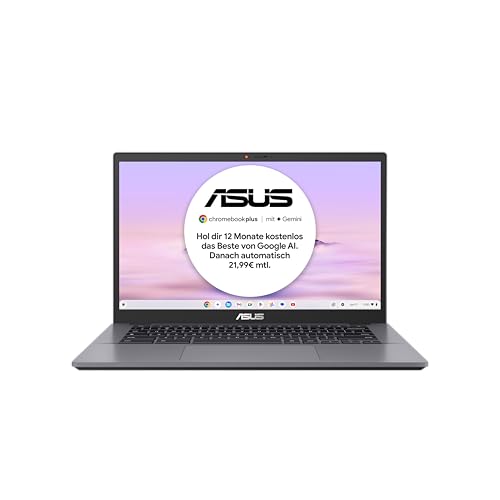 Asus Acer Chromebook