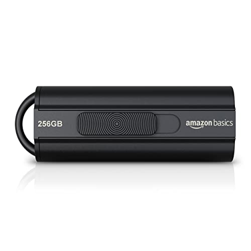 Amazon Basics Usb Stick Mit 256 Gb