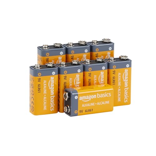 Amazon Basics 9 Volt Batterie