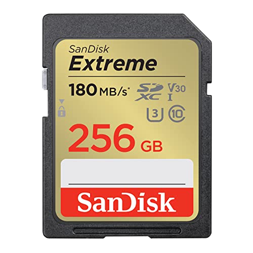 Sandisk 256 Gb Sd Karte