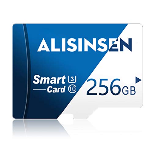 Alisinsen 256 Gb Sd Karte