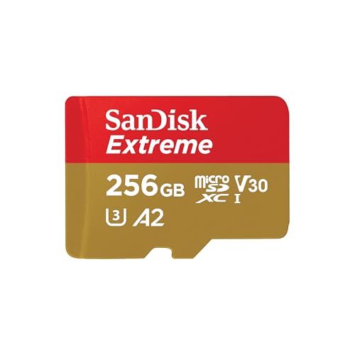 Sandisk 256 Gb Sd Karte