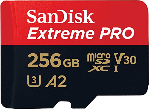 Sandisk 256 Gb Sd Karte