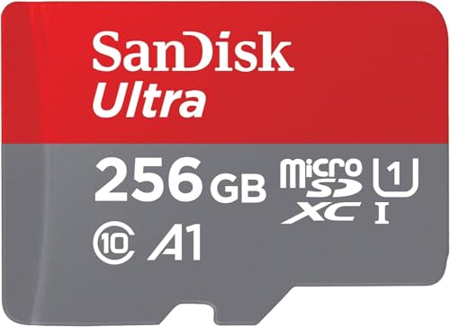 Sandisk 256 Gb Sd Karte