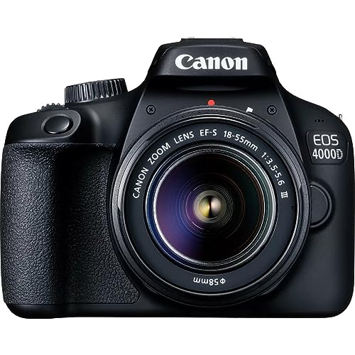 Canon Spiegelreflexkamera 6 Einfache Tipps Für Bessere Bilder