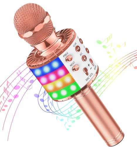 Geschenpark Karaoke Mikrofon
